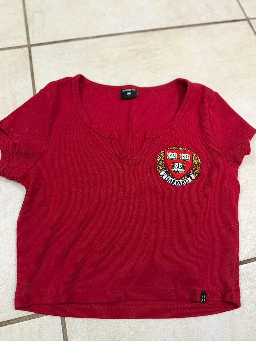 hype and vice Harvard university top